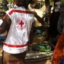 2017 in Mali