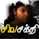 2008 Tamil television series debuts