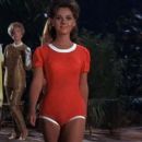 Gilligan's Island