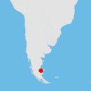 Prehistoric life of South America
