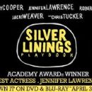Silver Linings Playbook
