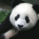 Visitor attractions in Sichuan