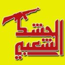 Counterinsurgency organizations