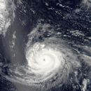 2006 Pacific typhoon season