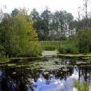 Lakes of Shatsk