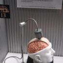 Brain–computer interface