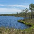 Wetlands of Sweden