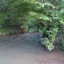 Cadoxton River