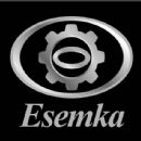 Indonesian companies established in 2007
