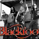 Blackfoot Confederacy