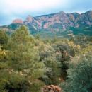 Visitor attractions in Cimarron County, Oklahoma