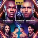 Ultimate Fighting Championship events at Madison Square Garden