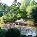The Zoo
