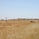 Hurrian cities