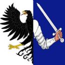 Defunct hurling competitions