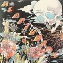 Heartworms - The Shins