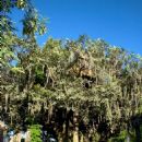 Swiss Family Treehouse