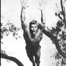 Tarzan, the Ape Man