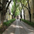 Renaissance architecture in Parma