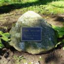 John Willard