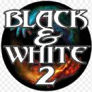 Black & White (video game)