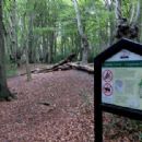 Hill forts in Essex