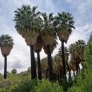 Geography of Clark County, Nevada