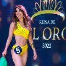 Linda Valdivieso- Reina de El Oro 2022- Swimsuit Competition - 454 x 303