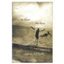 LGBTQ literature in Ireland