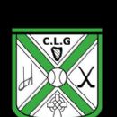 1890 in Gaelic games