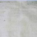 Constitutions of states with limited recognition