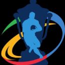 2013 Rugby League World Cup