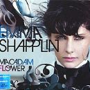 Macadam Flower