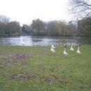Parks and open spaces in the West Midlands (county)