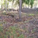 Van Winkle's Mill Site
