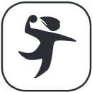 2010 in handball