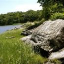 Pelham Bay Park