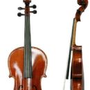 Viola