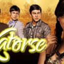 Katorse