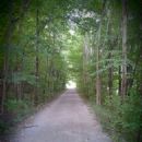 Rail trails in Michigan