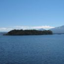 Huon Pine