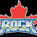 1990s in lacrosse