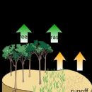 Groundwater recharge