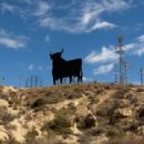 Companies of Andalusia