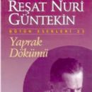 Yaprak Dökümü