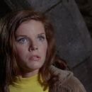The Collector - Samantha Eggar - 454 x 247