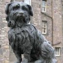 Public art in Scotland