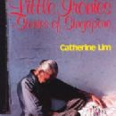 Little Ironies: Stories of Singapore