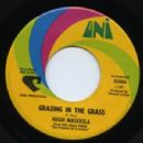 Grazing In The Grass