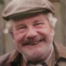 The Green Green Grass - David Ross